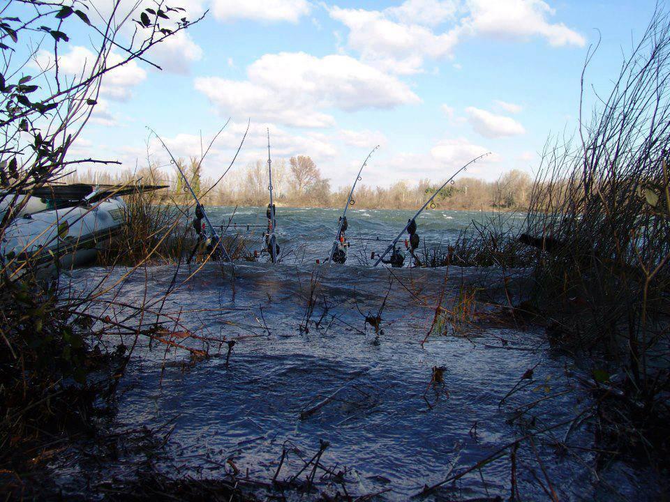 ::::::::LIKE:::::::: - 988628542778429091263336811694n.jpg